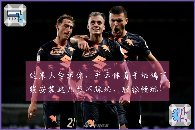 过来人告诉你，开云体育手机端下载安装这几步不踩坑，轻松畅玩！