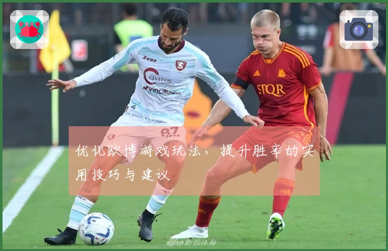 优化欧博游戏玩法，提升胜率的实用技巧与建议