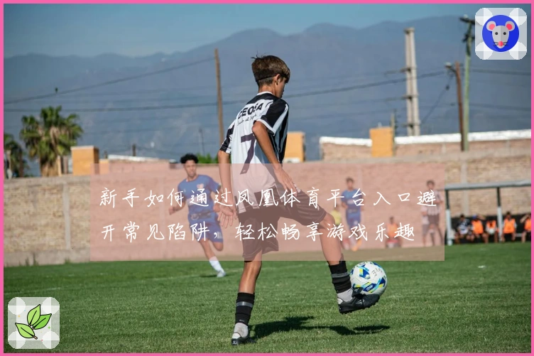 新手如何通过凤凰体育平台入口避开常见陷阱，轻松畅享游戏乐趣